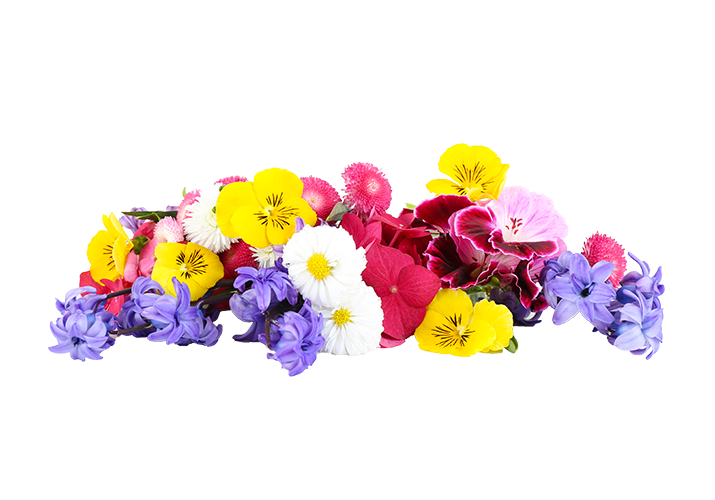 composition de fleurs Flowerprice