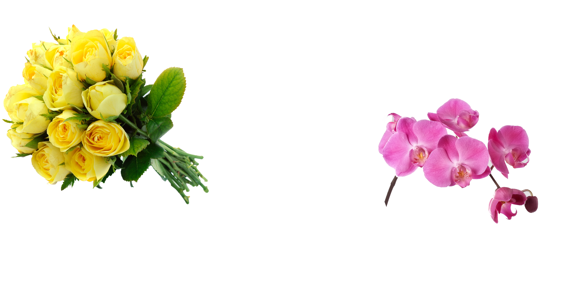 bouquets de roses et orchidée Flowerprice